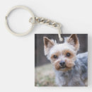 Search for yorkie key rings Portrait