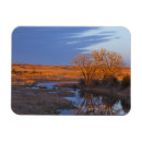 Search for loup magnets Chuck