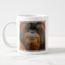 Search for male mugs Primates