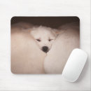 Search for snuggle electronics Puppy