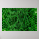 Search for python posters Texture