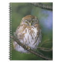 Search for wild one notebooks Animals in the wild