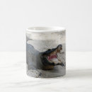 Search for florida alligator mugs Nature