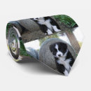 Search for collies ties Puppy