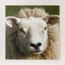 Search for sheep puzzles Farms