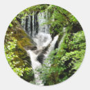 Search for waterfalls stickers Trees