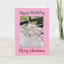 Search for birthday christmas cards Photography