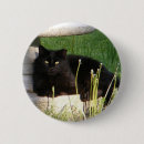 Search for feral cat badges Kitties