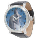 Search for dolphin watches Wildlife