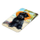 Search for beach lovers magnets Ocean