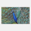 Search for blue nature stickers Feathers