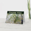 Search for pine needle cards Green