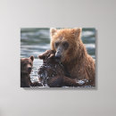 Search for cubs canvas prints Beautiful