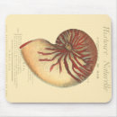 Search for conch mousepads Ocean