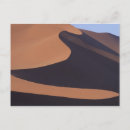 Search for nature pattern postcards Desert