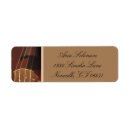 Search for violins String instrument