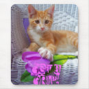 Search for getting mousepads Pets