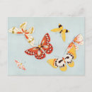 Search for vintage butterfly postcards Insect