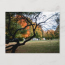 Search for jefferson postcards Trees