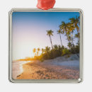 Search for dominican republic christmas tree decorations Island