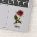 Search for knockout rose Nature