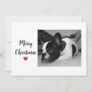 Search for furry and bright christmas cards Red