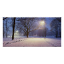 Search for snow covered trees posters Snowy