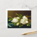 Search for giant flower postcards Still life