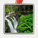 Search for sol christmas tree decorations Landscape