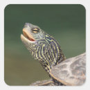 Search for ecosystem stickers Wildlife