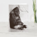 Search for gorilla cards Primate