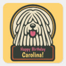 Search for beardie stickers Funny