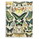 Search for butterfly notebooks Moth