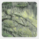 Search for oak trees stickers Leaf