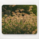 Search for bended mousepads Usa