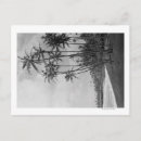 Search for photographer postcards Islands