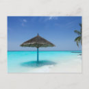 Search for umbrellas postcards Thatched umbrella
