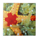 Search for sea tiles Fish