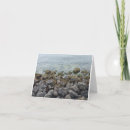 Search for seashore cards Nature