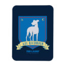 Search for team magnets Soccer