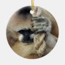Search for ape christmas tree decorations Primate