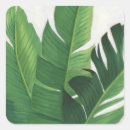 Search for plants square stickers Coastal