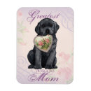 Search for black lab magnets Labrador retriever