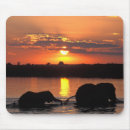 Search for botswana mousepads Animal