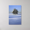 Search for seasons canvas prints Outdoors