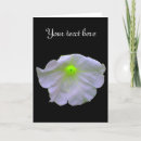 Search for petunias cards Green