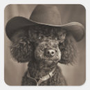 Search for black poodle stickers Animal