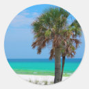 Search for florida palm trees stickers Beach