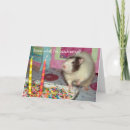 Search for rat birthday cards Pet