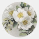 Search for apple blossom stickers Flowers